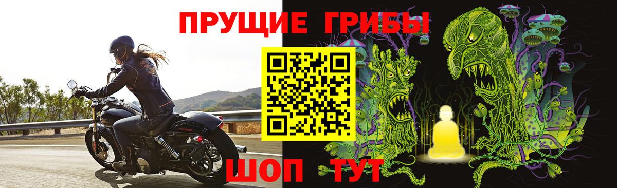 Железногорск  Псилоцибиновые грибы мицелий  Вход с VPN 